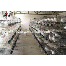 Jaula de aves de corral de buena calidad para la venta